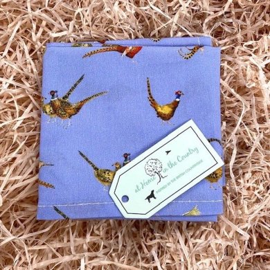 Näsdukar och slipsklämmor