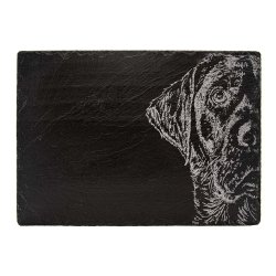 Ostbricka skiffer Labrador