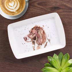 Bricka springer spaniel