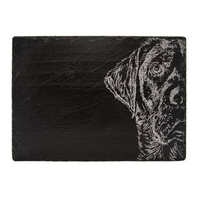 Zoom bild av Ostbricka skiffer Labrador