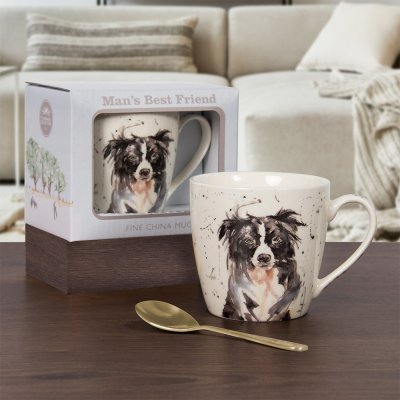 Zoom bild av Mugg collie