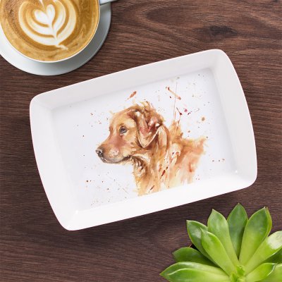 Zoom bild av Bricka golden retriever