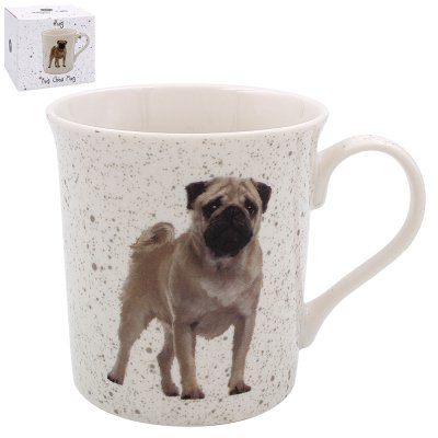 Zoom bild av Mugg pug